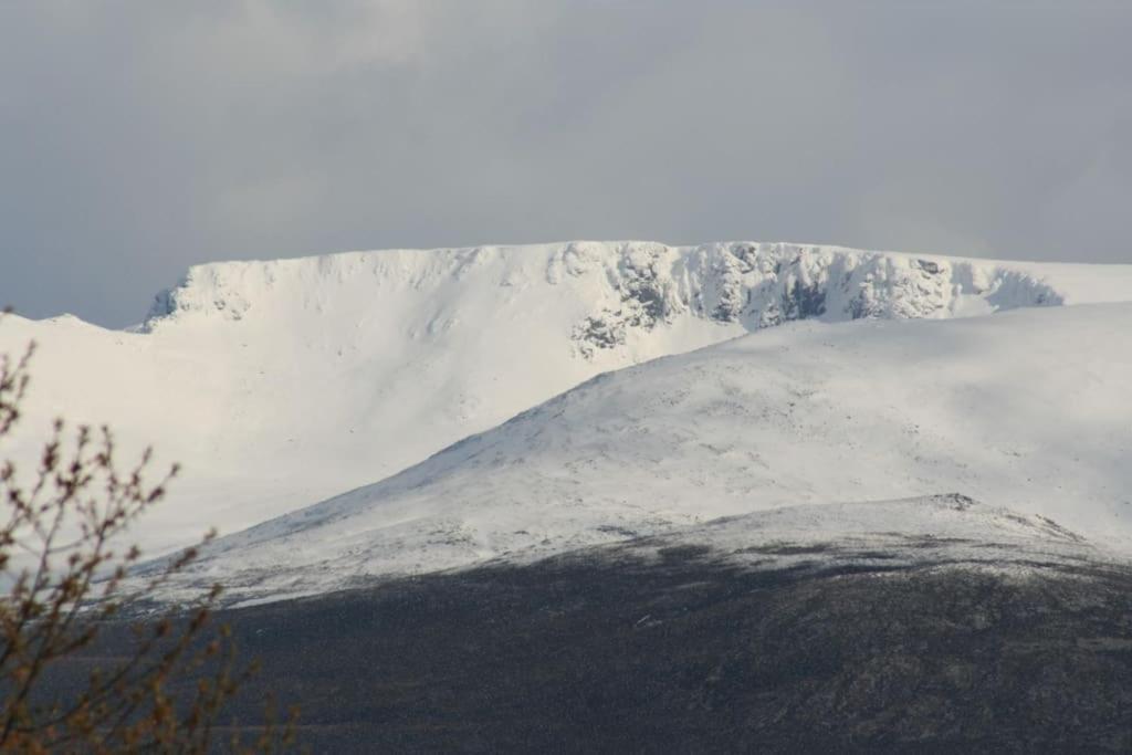 Aviemore Cottage - Cairngorms National Park 外观 照片